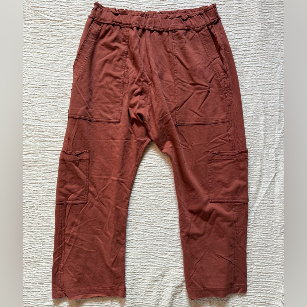Urban Outfitters Women's Rust Cropped Pants